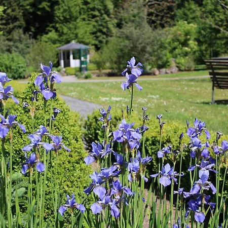 Haus Christa 3* Bad Bertrich