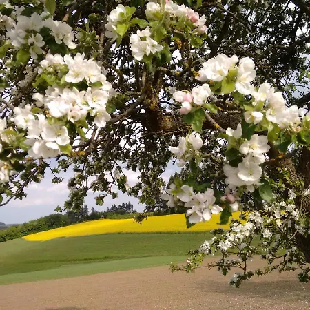 酒店 Haus Christa 3*