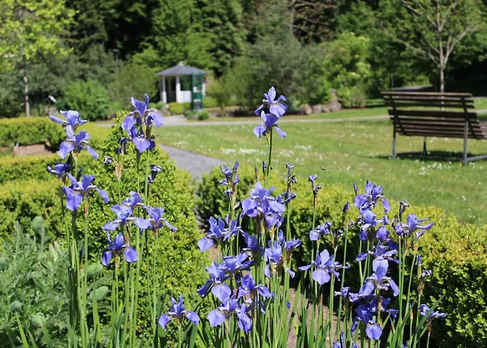 Haus Christa 3* バート・ベルトリッヒ