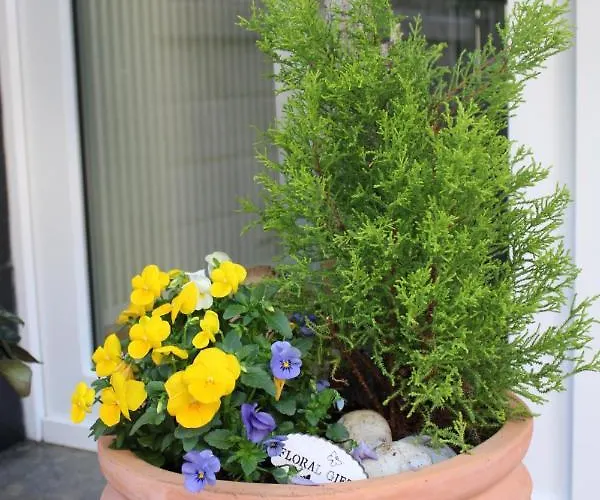 Hotel Haus Christa 3*