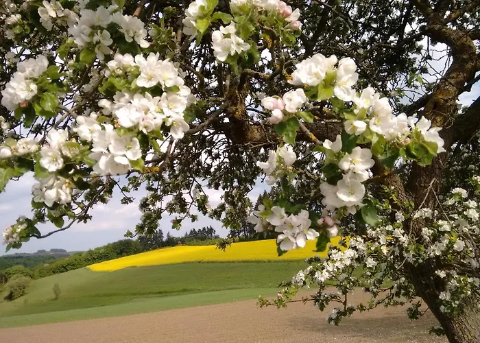 Hotel Haus Christa 3*